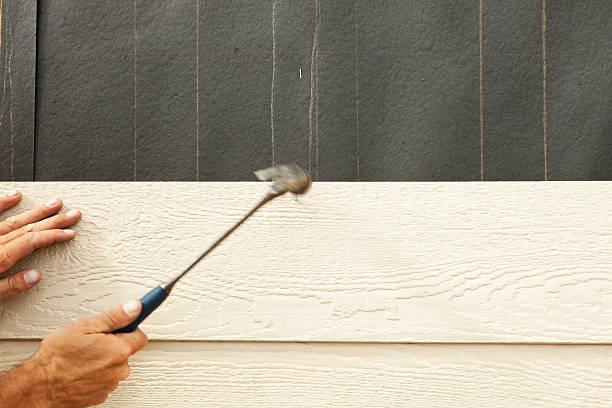 Best Historical Building Siding Restoration  in Laurel, MS